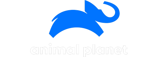 Animal Planet