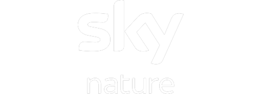 Sky Nature