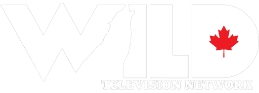 WILD TV